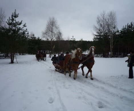 2010.01.30 - PODSUMOWANIE FERII