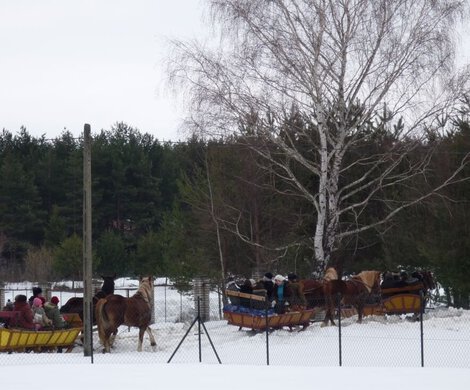 2010.01.30 - PODSUMOWANIE FERII