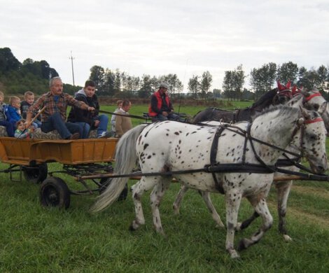 2016.09.25 - II ŚWIĘTO PIECZONEGO ZIEMNIAKA