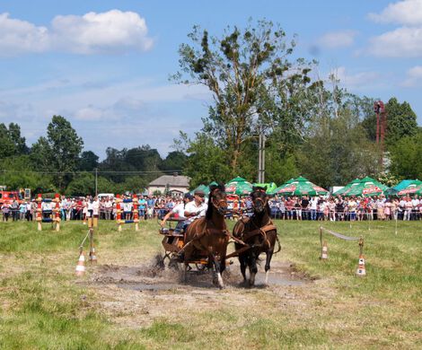 2018.05.27 - II ZAWODY W POWOŻENIU ZAPRZĘGAMI