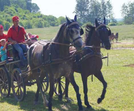 2018.05.27 - II ZAWODY W POWOŻENIU ZAPRZĘGAMI