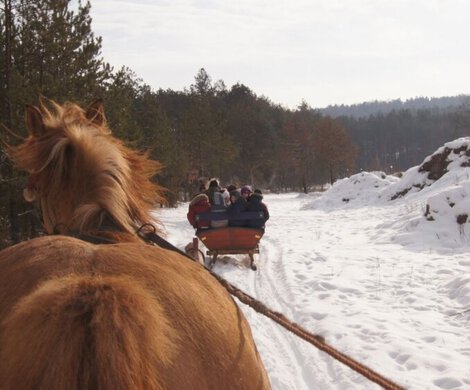 2012.02.12 - FERIE ZIMOWE [PODSUMOWANIE]