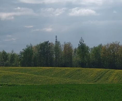 2021.05.24 - WIOSNA W OBIEKTYWIE