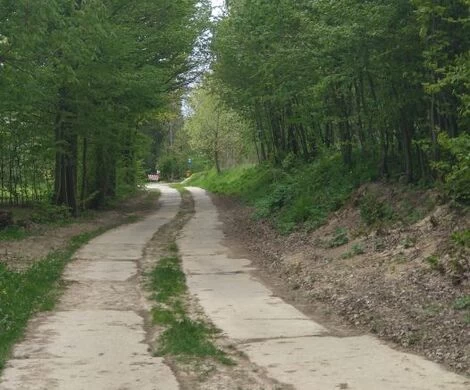 2021.05.24 - WIOSNA W OBIEKTYWIE