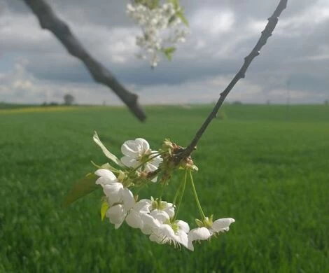 2021.05.24 - WIOSNA W OBIEKTYWIE