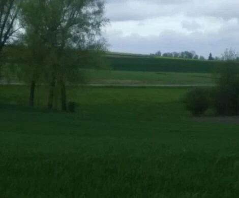 2021.05.24 - WIOSNA W OBIEKTYWIE