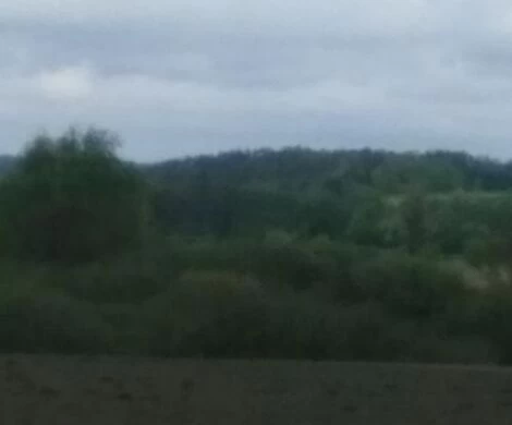 2021.05.24 - WIOSNA W OBIEKTYWIE