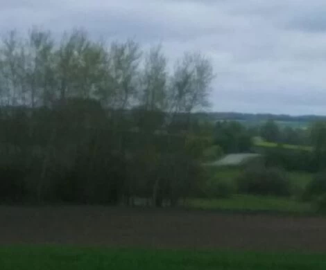 2021.05.24 - WIOSNA W OBIEKTYWIE