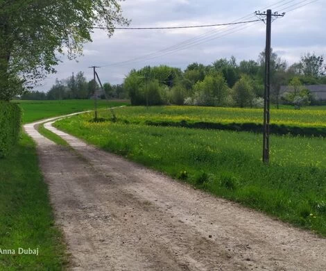 2021.05.24 - WIOSNA W OBIEKTYWIE