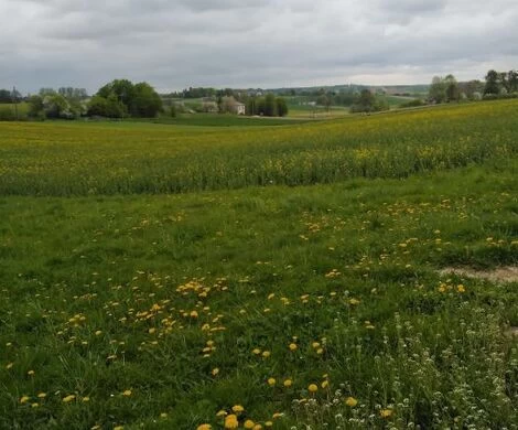 2021.05.24 - WIOSNA W OBIEKTYWIE