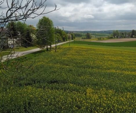 2021.05.24 - WIOSNA W OBIEKTYWIE