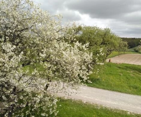 2021.05.24 - WIOSNA W OBIEKTYWIE