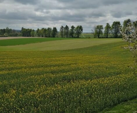 2021.05.24 - WIOSNA W OBIEKTYWIE