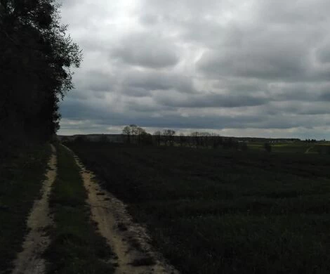 2021.05.24 - WIOSNA W OBIEKTYWIE