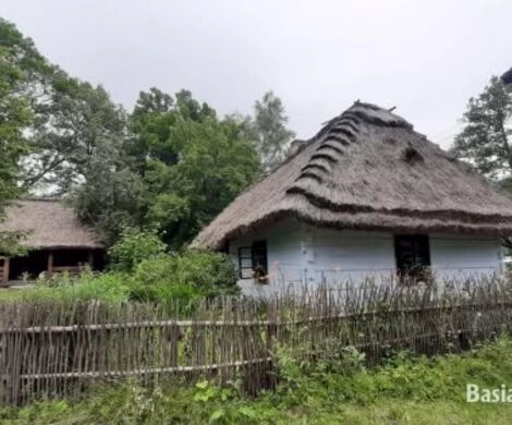 2021.05.24 - WIOSNA W OBIEKTYWIE