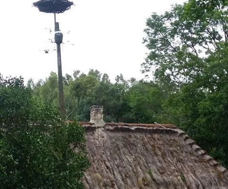 2021.05.24 - WIOSNA W OBIEKTYWIE