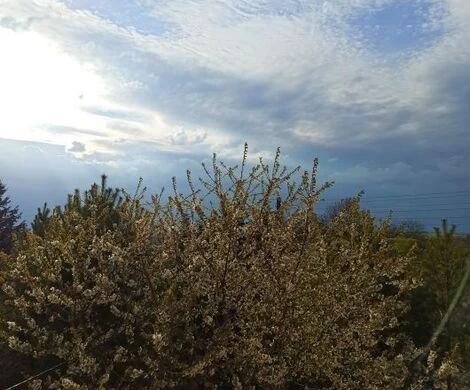 2021.05.24 - WIOSNA W OBIEKTYWIE