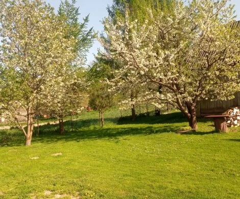 2021.05.24 - WIOSNA W OBIEKTYWIE