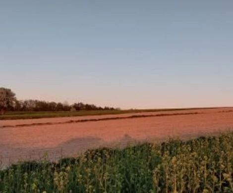 2021.05.24 - WIOSNA W OBIEKTYWIE