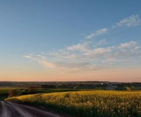 2021.05.24 - WIOSNA W OBIEKTYWIE