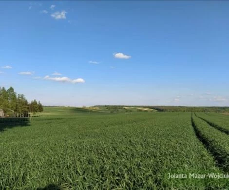 2021.05.24 - WIOSNA W OBIEKTYWIE