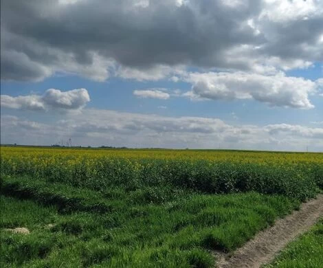 2021.05.24 - WIOSNA W OBIEKTYWIE