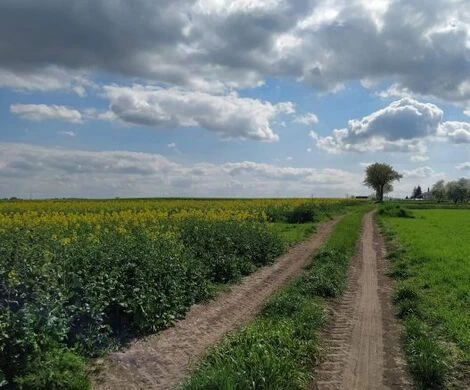 2021.05.24 - WIOSNA W OBIEKTYWIE