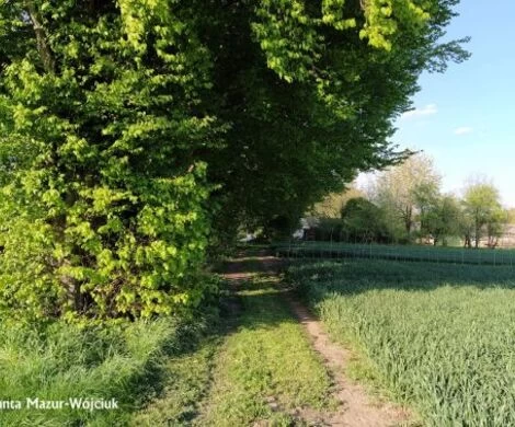 2021.05.24 - WIOSNA W OBIEKTYWIE