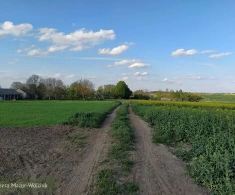 2021.05.24 - WIOSNA W OBIEKTYWIE