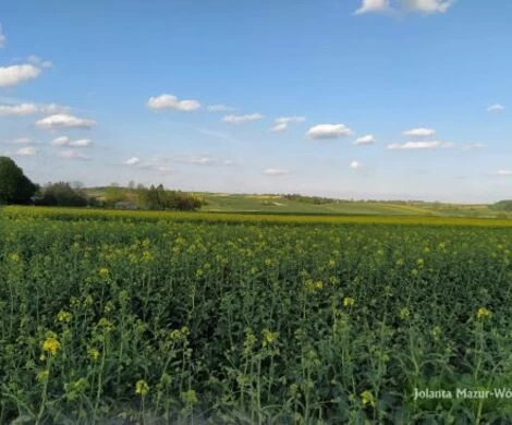 2021.05.24 - WIOSNA W OBIEKTYWIE