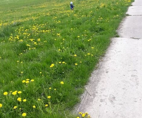2021.05.24 - WIOSNA W OBIEKTYWIE