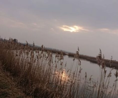 2021.05.24 - WIOSNA W OBIEKTYWIE