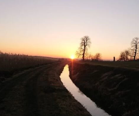 2021.05.24 - WIOSNA W OBIEKTYWIE