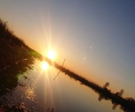 2021.05.24 - WIOSNA W OBIEKTYWIE