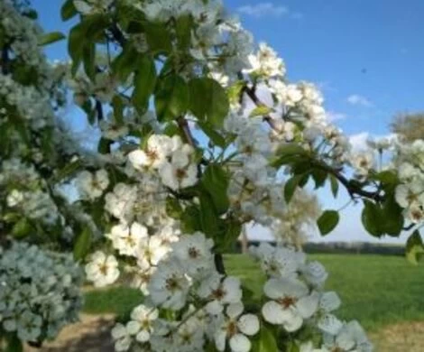 2021.05.24 - WIOSNA W OBIEKTYWIE