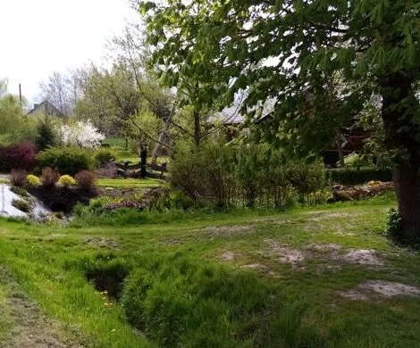 2021.05.24 - WIOSNA W OBIEKTYWIE