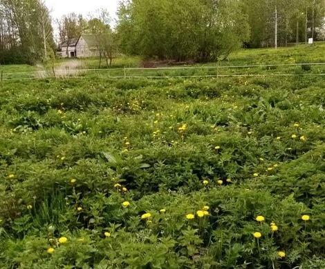 2021.05.24 - WIOSNA W OBIEKTYWIE
