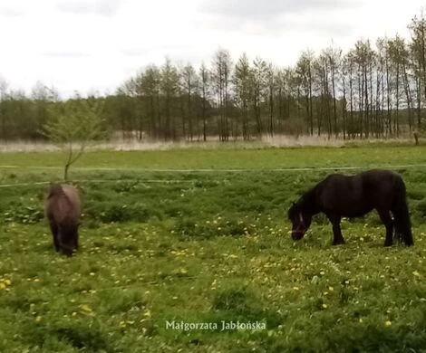 2021.05.24 - WIOSNA W OBIEKTYWIE