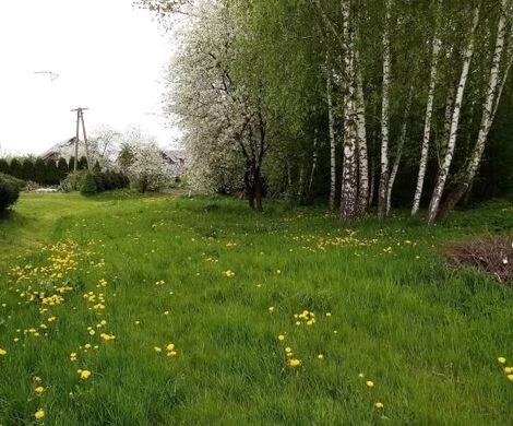 2021.05.24 - WIOSNA W OBIEKTYWIE