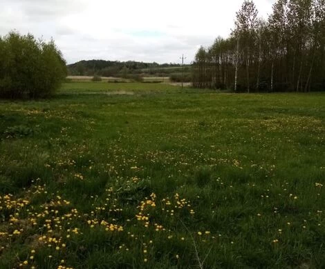 2021.05.24 - WIOSNA W OBIEKTYWIE