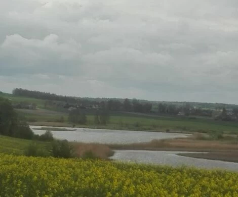 2021.05.24 - WIOSNA W OBIEKTYWIE