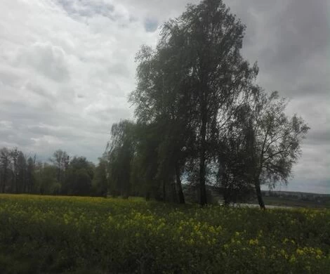 2021.05.24 - WIOSNA W OBIEKTYWIE