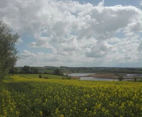 2021.05.24 - WIOSNA W OBIEKTYWIE
