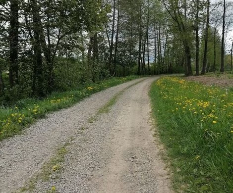 2021.05.24 - WIOSNA W OBIEKTYWIE