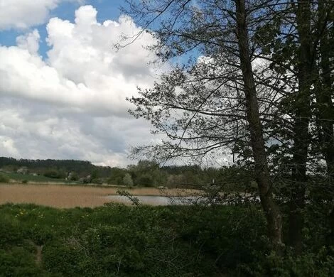 2021.05.24 - WIOSNA W OBIEKTYWIE