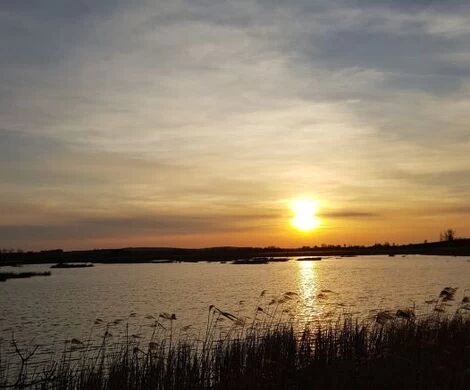 2021.05.24 - WIOSNA W OBIEKTYWIE