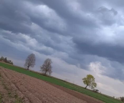 2021.05.24 - WIOSNA W OBIEKTYWIE