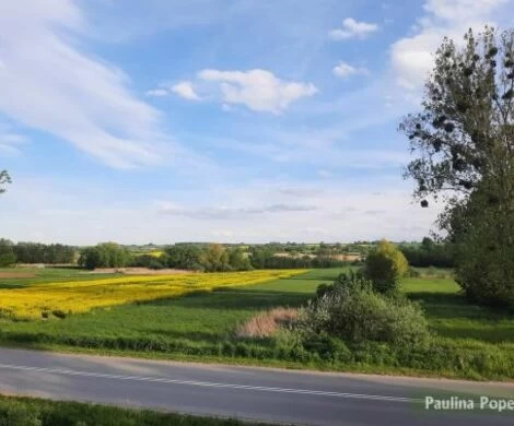 2021.05.24 - WIOSNA W OBIEKTYWIE