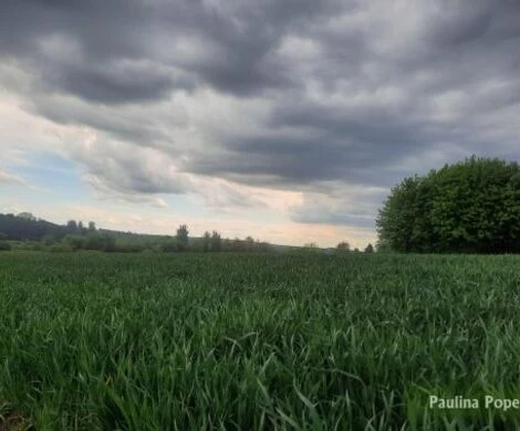2021.05.24 - WIOSNA W OBIEKTYWIE