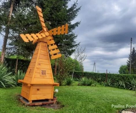 2021.05.24 - WIOSNA W OBIEKTYWIE